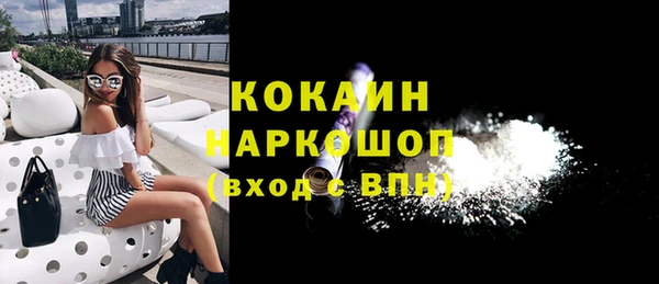 спайс Арсеньев