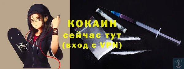 гашик Белоозёрский