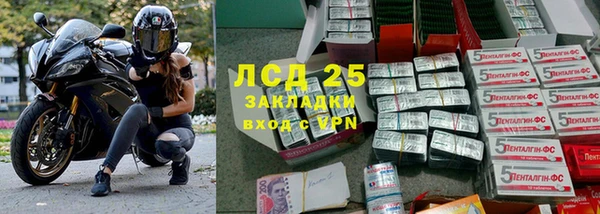 спайс Арсеньев