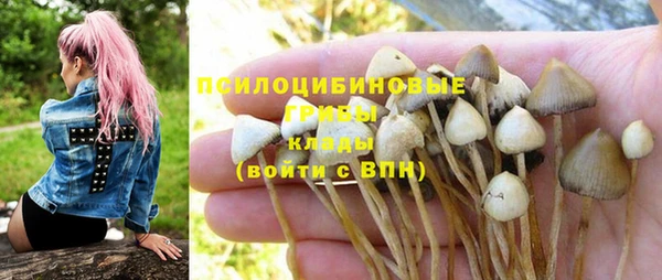 прущий лед Аркадак